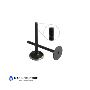 Perkins 104 403 404 Einlassventil - 120166350 120166380 120166390