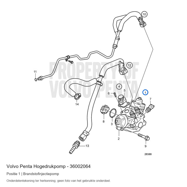Volvo Penta hogedrukpomp 36002064, positie 1 in de onderdelentekening