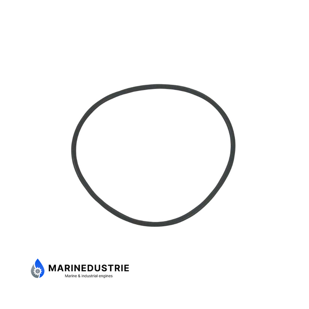 Volvo Penta O-Ring - 925256