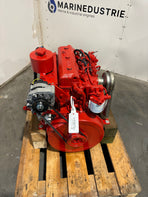 Bukh DV36 