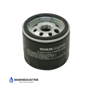 Brandstoffilter Lombardini LDW502, 602, 702, 903, 1003, 1204, 1404 - 2175288