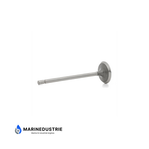 Inlaatklep DAF 575 615 - 257263 211260