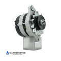 Bukh lichtmaschine 12V 70A DV10 DV20 DV24 DV29 DV36 DV48 - 008E8258 008E9525 612H0520