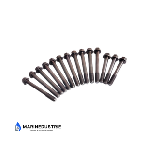 Kopboutset Perkins 103-15 403D-15 403D-15T - T427103