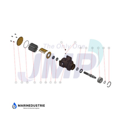 Impellerpumpe Scania DI11 DI12 DI13 DI16-Serie - 1785244 1119309