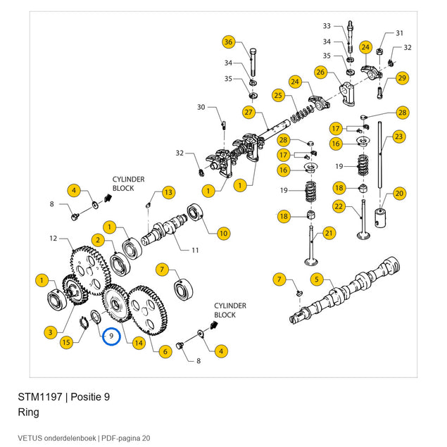 Ring - Vetus - STM1197