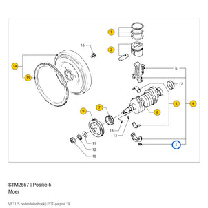 Moer - Vetus - STM2557