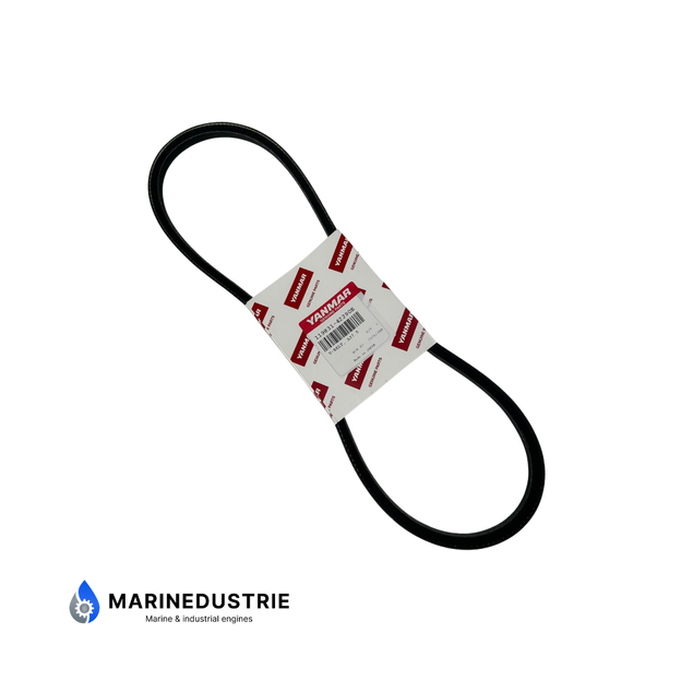 V-Snaar dynamo Yanmar 3YM20 3YM30 - 119831-42290E