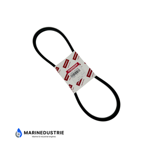 V-Snaar dynamo Yanmar 3YM20 3YM30 - 119831-42290E