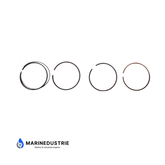 Zuigerveerset Peugeot Indenor XDP4.90 XDP6.90