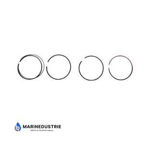 Zuigerveerset Peugeot Indenor XDP4.90 XDP6.90